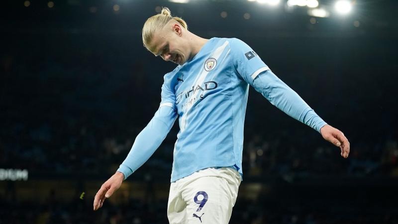 熊的价值 熊的价值